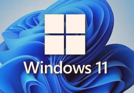 win11Сôwin11С